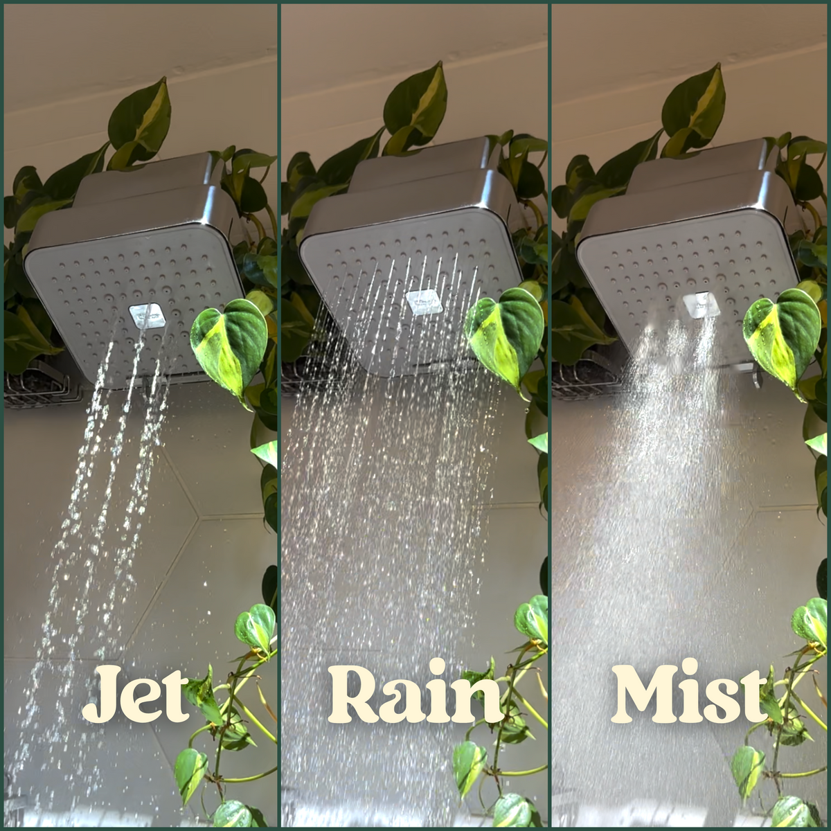 Citrus Filtered Showerhead