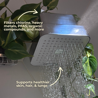 Citrus Filtered Showerhead