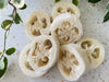 Loofah Sponge