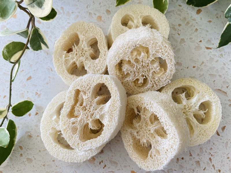 Loofah Sponge