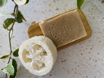 Loofah Sponge